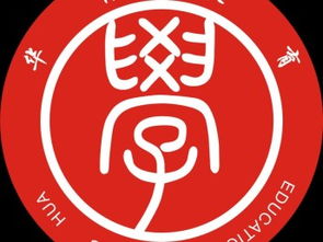 图龙华代理记账公司 深圳专业代理代办与多元化培训服务解析